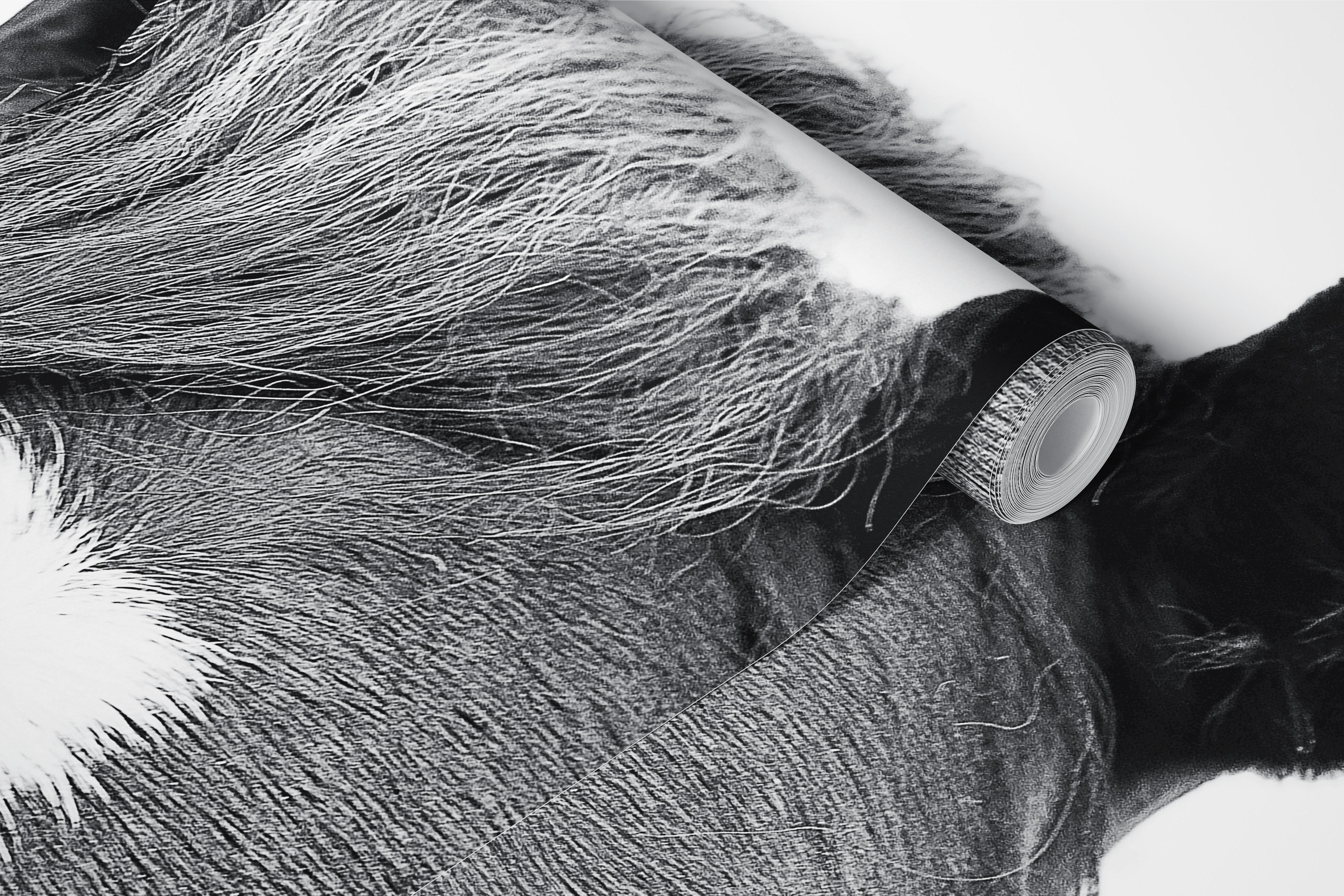 Peeking horse black and white wallpaper design