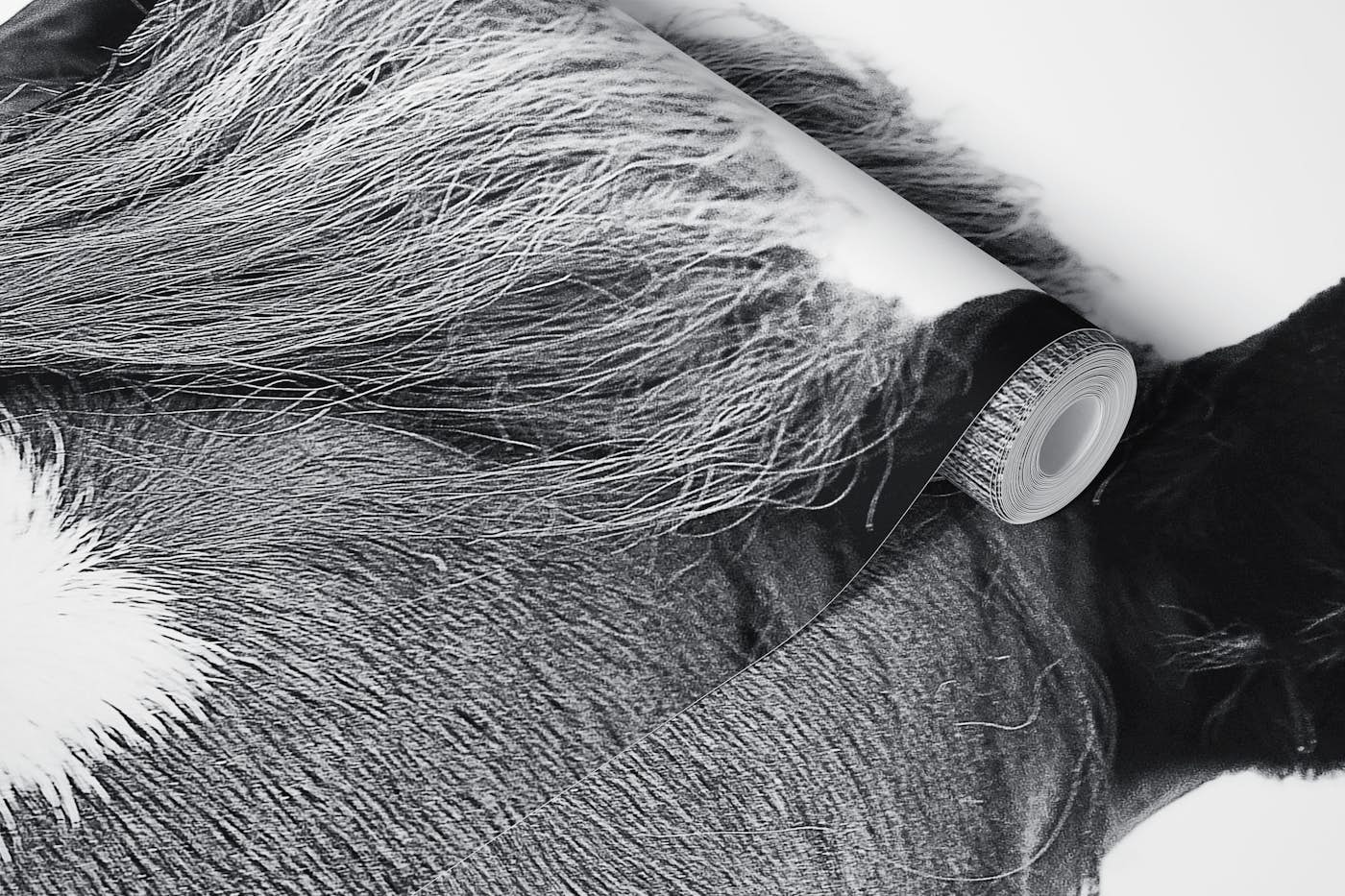 Peeking Horse BW wallpaper roll