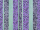 Leopard Glitter Stripes Glam 3