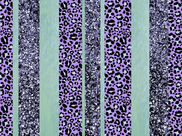 Leopard Glitter Stripes Glam 3