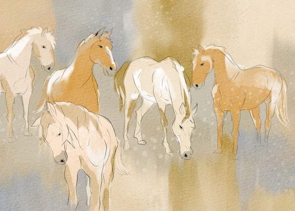 Soft Sketch Horses in Warm Tones