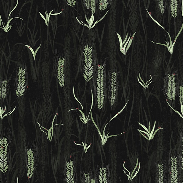 Midnight Ladybugs Garden