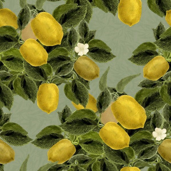 Lemon Abundance - Misty Green