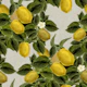 Lemon Abundance - Greige