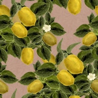 Lemon Abundance - Terracotta tapet