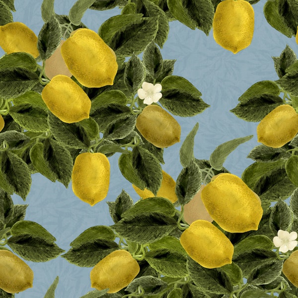 Lemon Abundance - Misty Blue