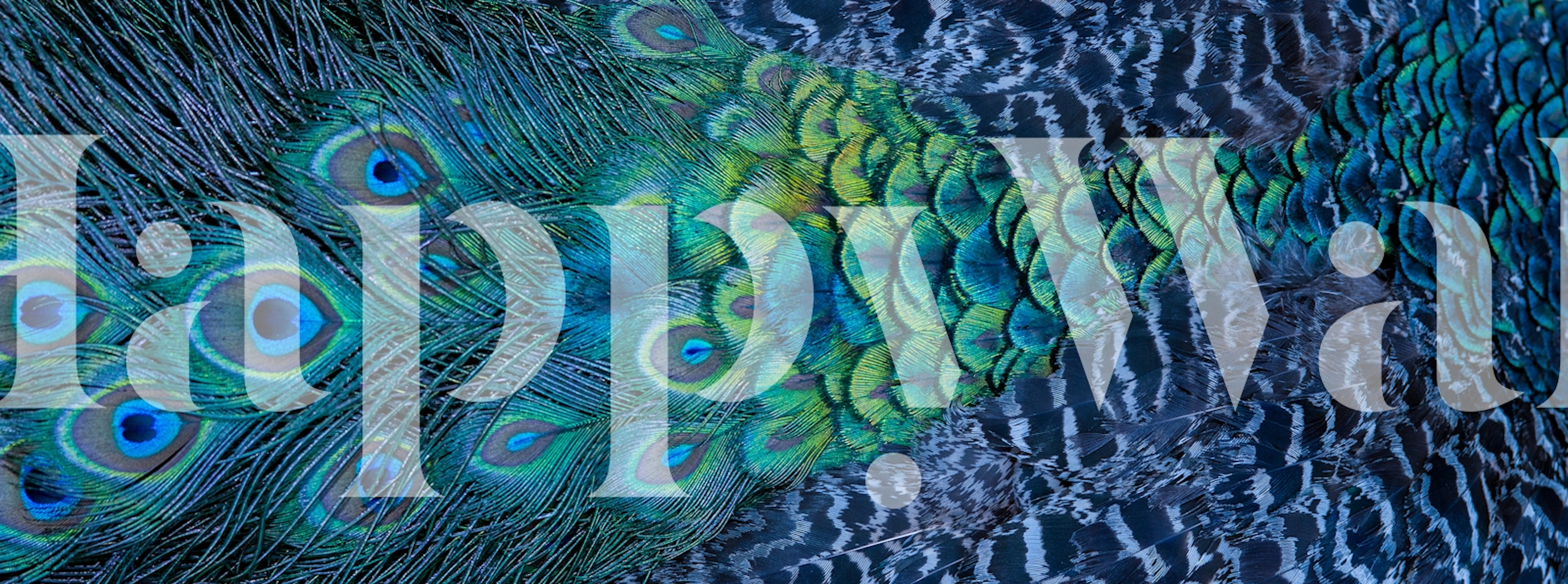 Elegant blue feather textures wallpaper in a room