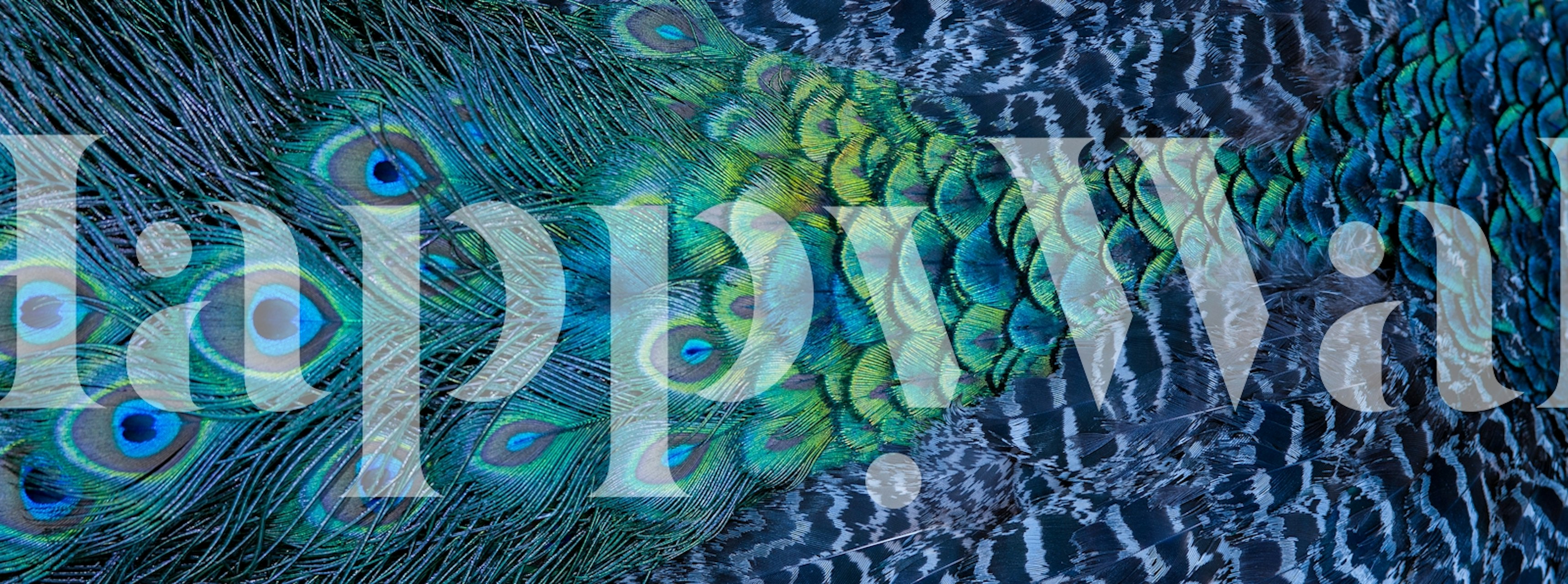 Elegant blue feather textures wallpaper in a room