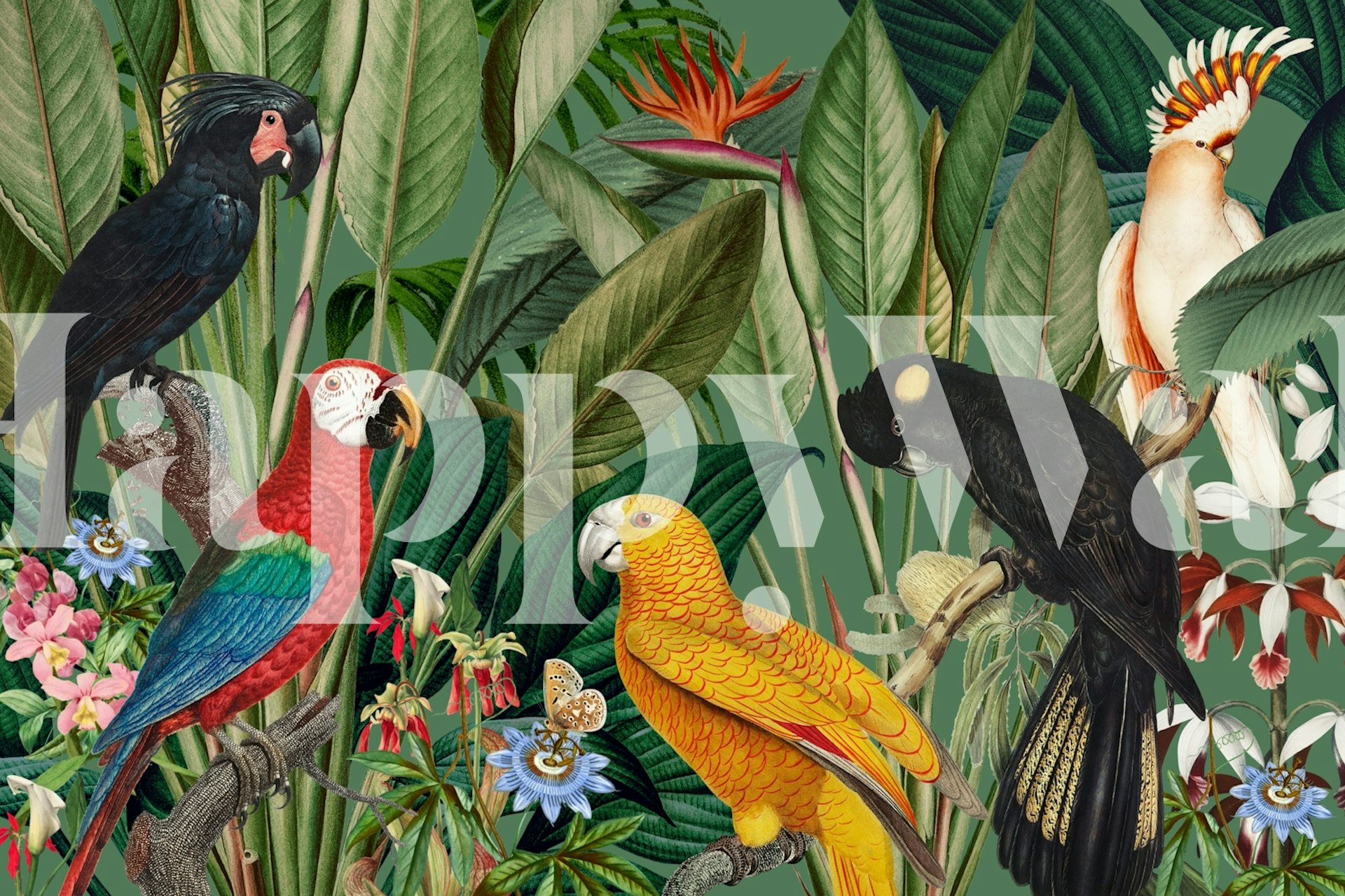 Lush Green Bird Haven wallpaper in a room