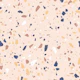 Soft Pink Terrazzo Texture Pattern L
