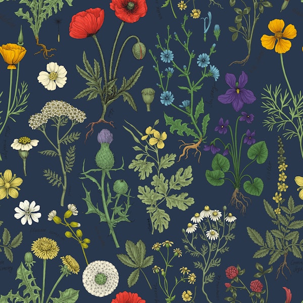 Wildflowers collage on navy