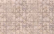 Sepia Botanical Trellis With Blue Flowers