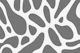 Gray White Animal Spots