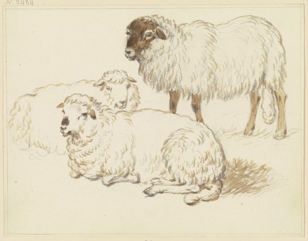 Charming Fluffy Sheep Trio