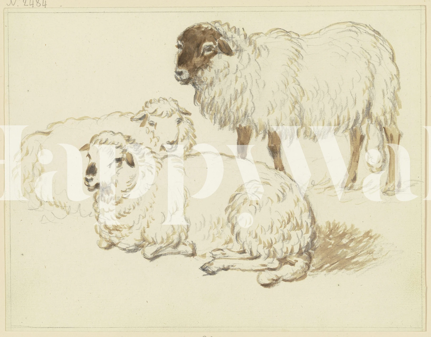 Charming fluffy sheep wallpaper in a cozy room