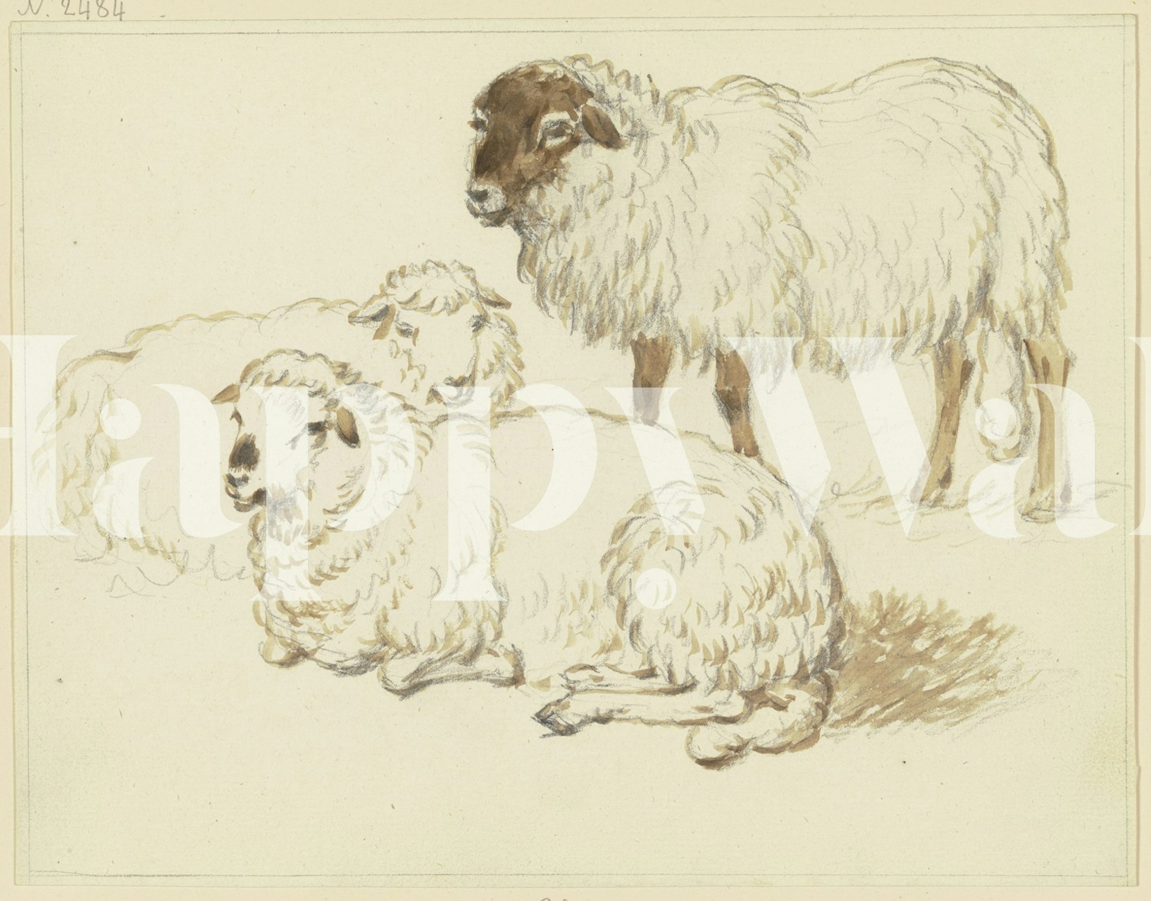 Charming fluffy sheep wallpaper in a cozy room