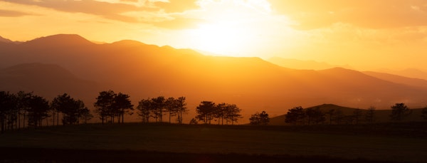 Hills Bathed in Golden Light