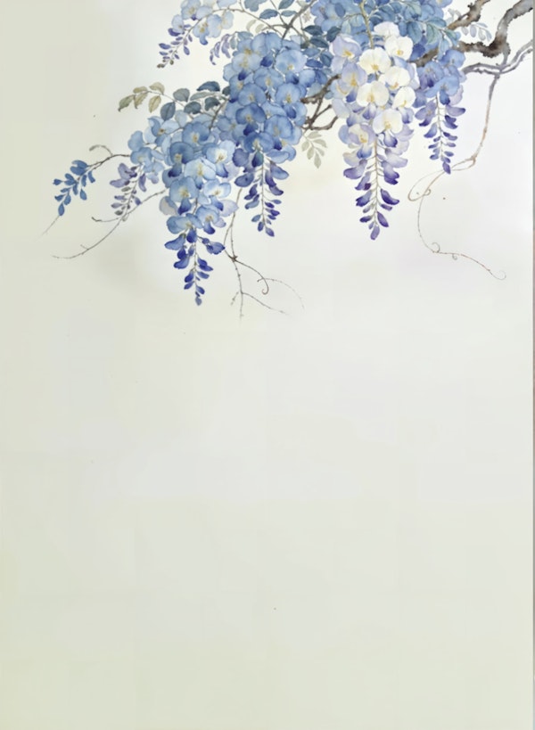 Blue Violet Hanging Wisteria
