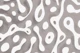 Modern Gray Wavy Abstract