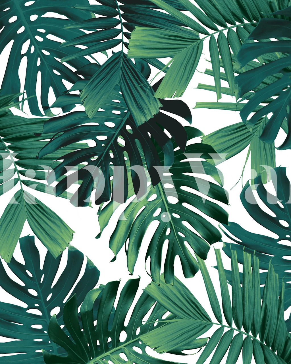 Tropical Monstera Jungle Leaves wallpaper in a room