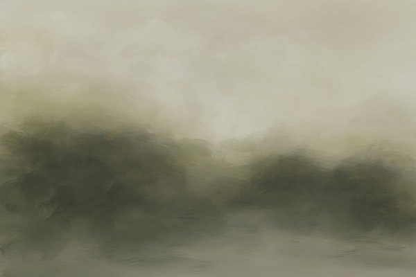 Moody Green Misty Forest Landscape