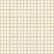Soft Gingham On Canvas Muted