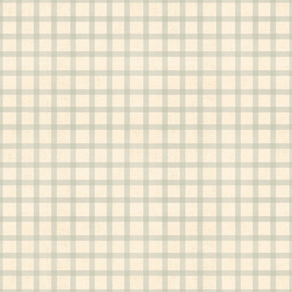 Soft Gingham On Canvas Muted