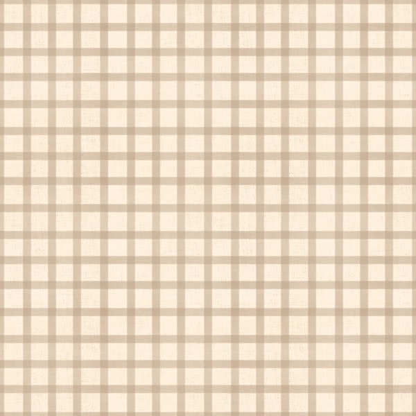 Soft Gingham On Canvas Vintage