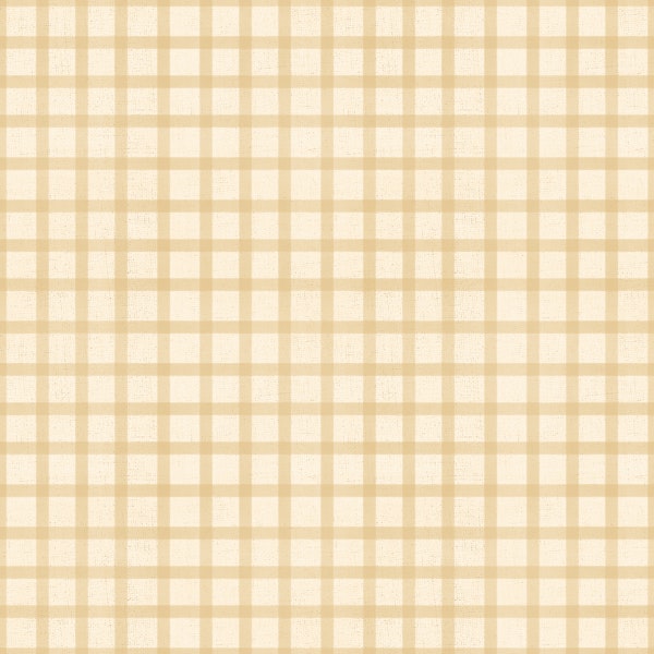 Soft Gingham On Canvas