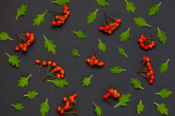 Autumn Berries on Charcoal