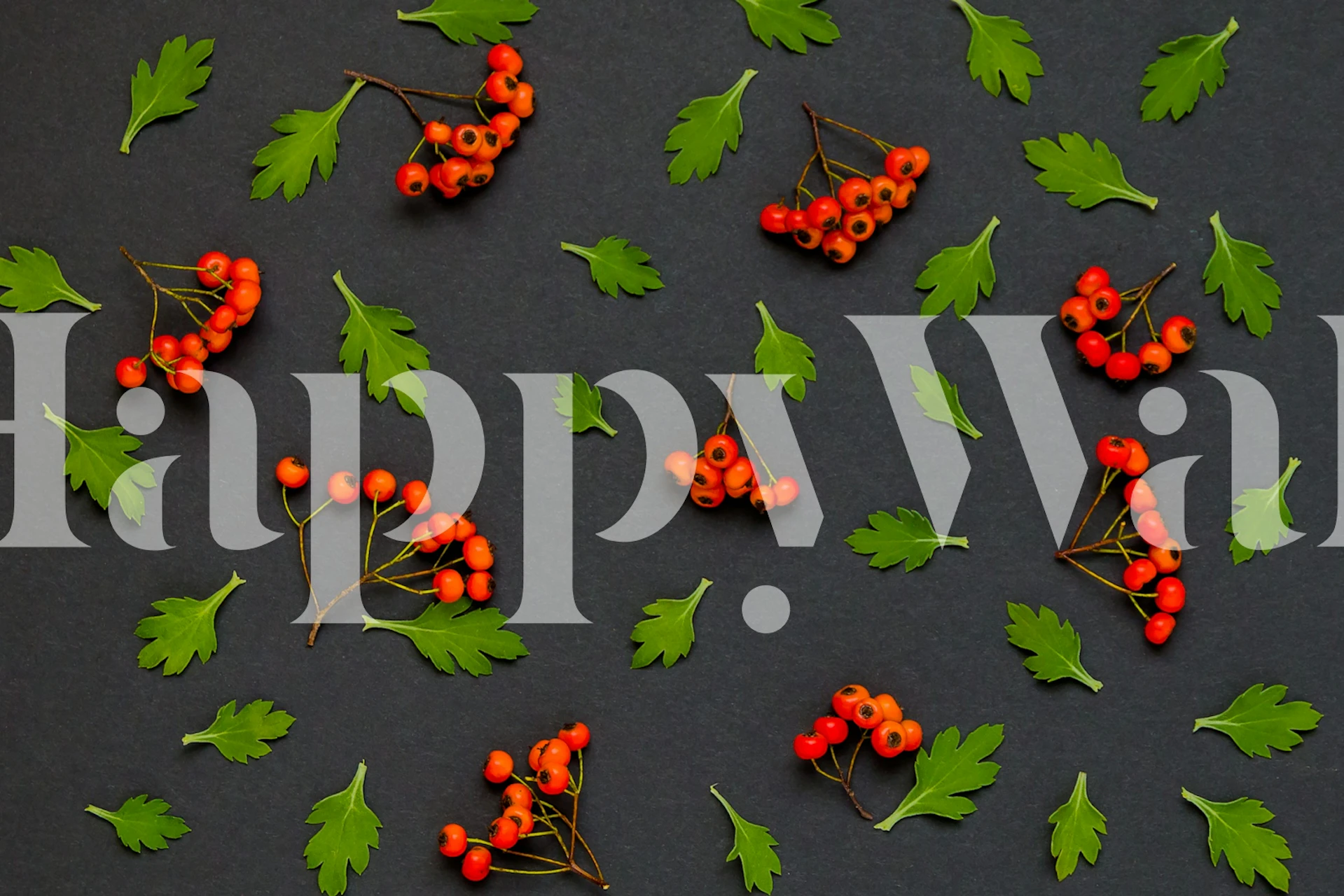 Autumn berries and leaves on charcoal wallpaper