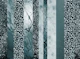 Leopard Marble Glitter Stripes Glam 2