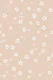 Scandi Minimalist Floral – Warm Peach