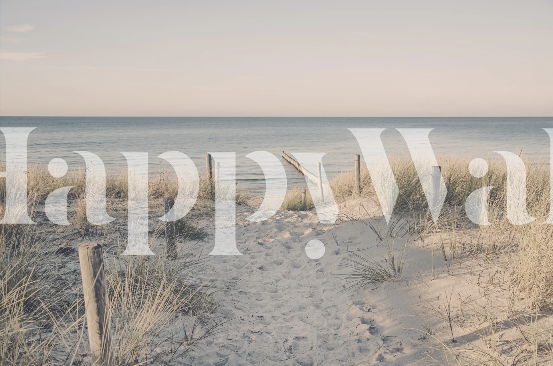 Pathway through tall grasses leading to calm ocean waves pastel wallpaper