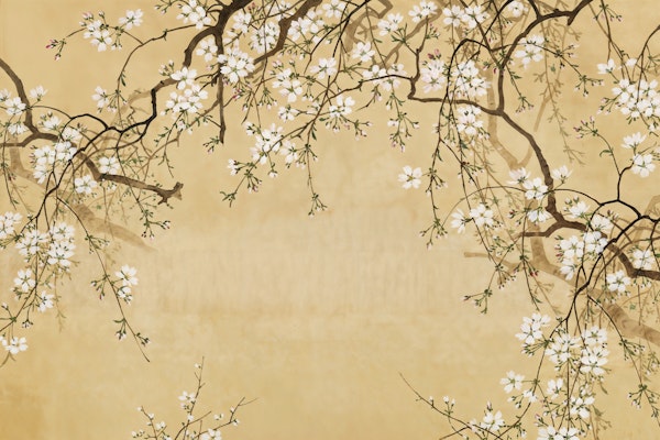 Cherry Blossom Garden