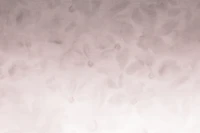 Dreamy floral ombre mural mauve dusty rose wallpaper