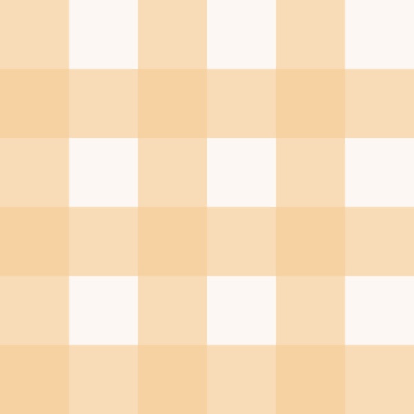 Warm Ivory and Apricot Gingham Vichy Checks