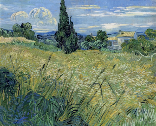 Green Wheat by Vincent Van Gogh