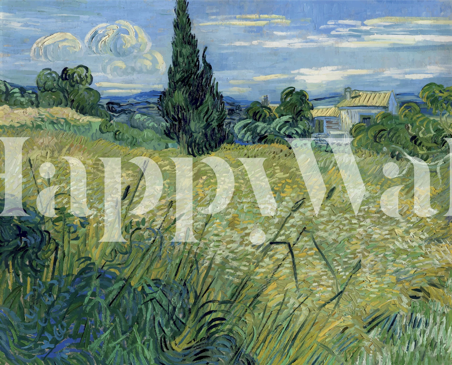 Green Wheat wallpaper design in a room