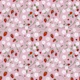 Strawberry Garden Pink Summer Flowers