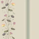 Sage Wild Flower