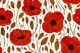 Painterly Red Poppies on White Background
