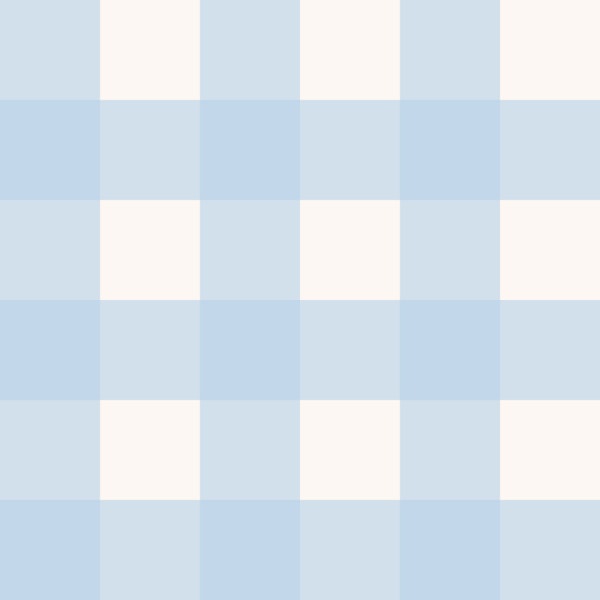 Sky Blue and Ivory Vichy Gingham Checks