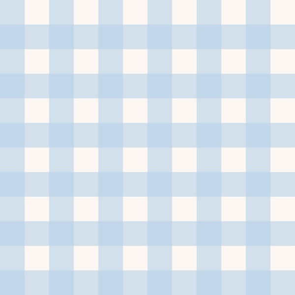 Mini Sky Blue and Ivory Vichy Gingham Checks