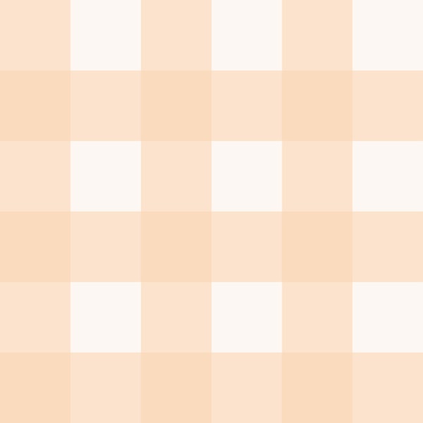 Soft Peach and Ivory Gingham Vichy Checks
