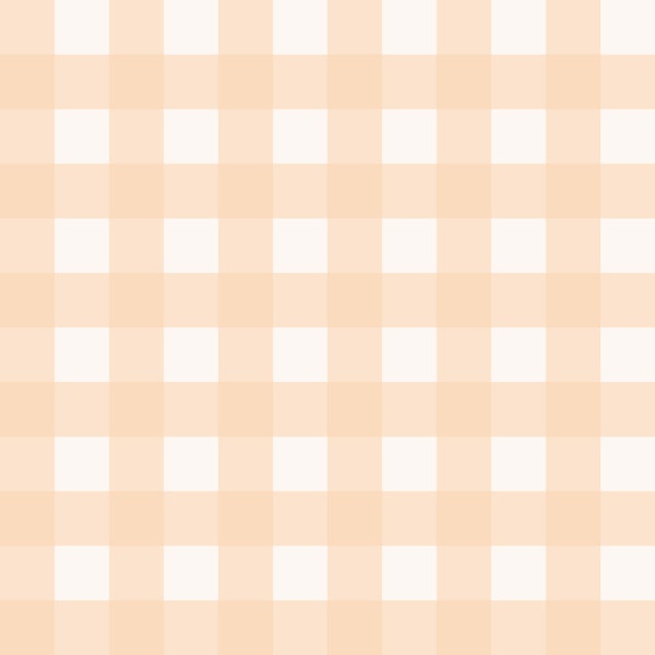 Mini Soft Peach and Ivory Gingham Vichy Check