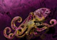 Fuchsia Octopus Majesty