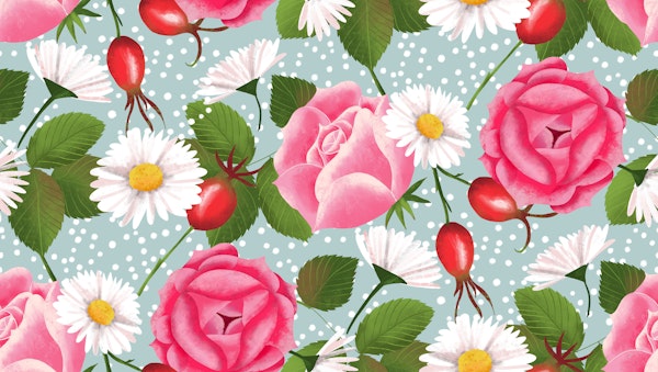 rose hip roses daisies