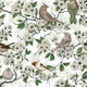 Birds and cherry blossom on white