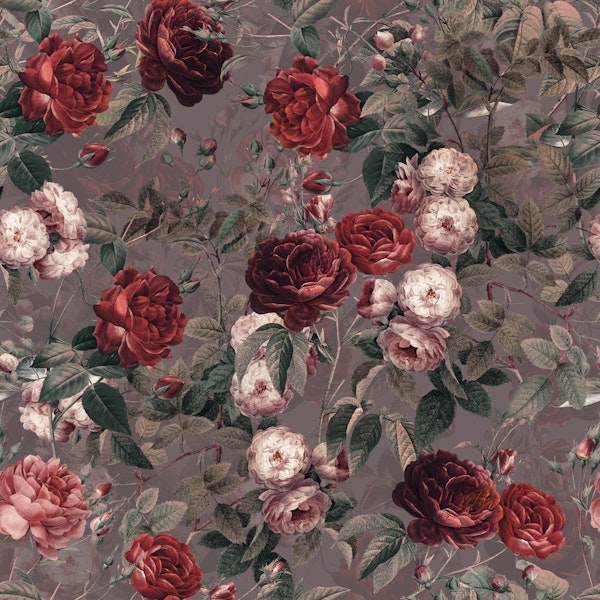 Roses in the Dark IV